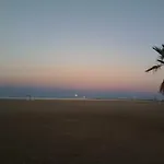 Berna * דניה