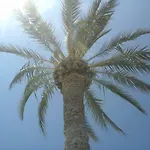 Berna * דניה