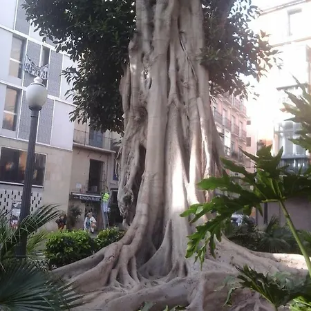 Séjour chez l'habitant Chez Berna - Se Alquila Dénia