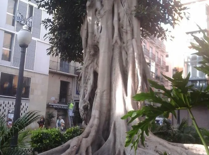 Alloggio in famiglia Berna Dénia