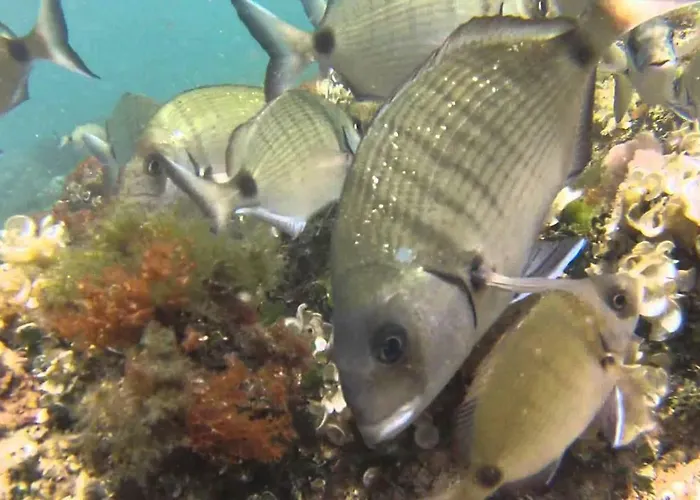 Alloggio in famiglia Berna *