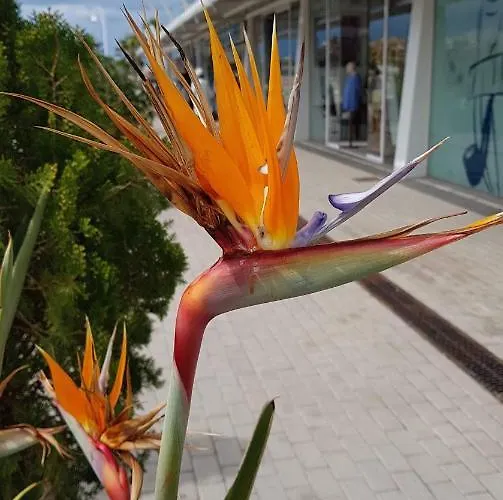 Alloggio in famiglia Berna